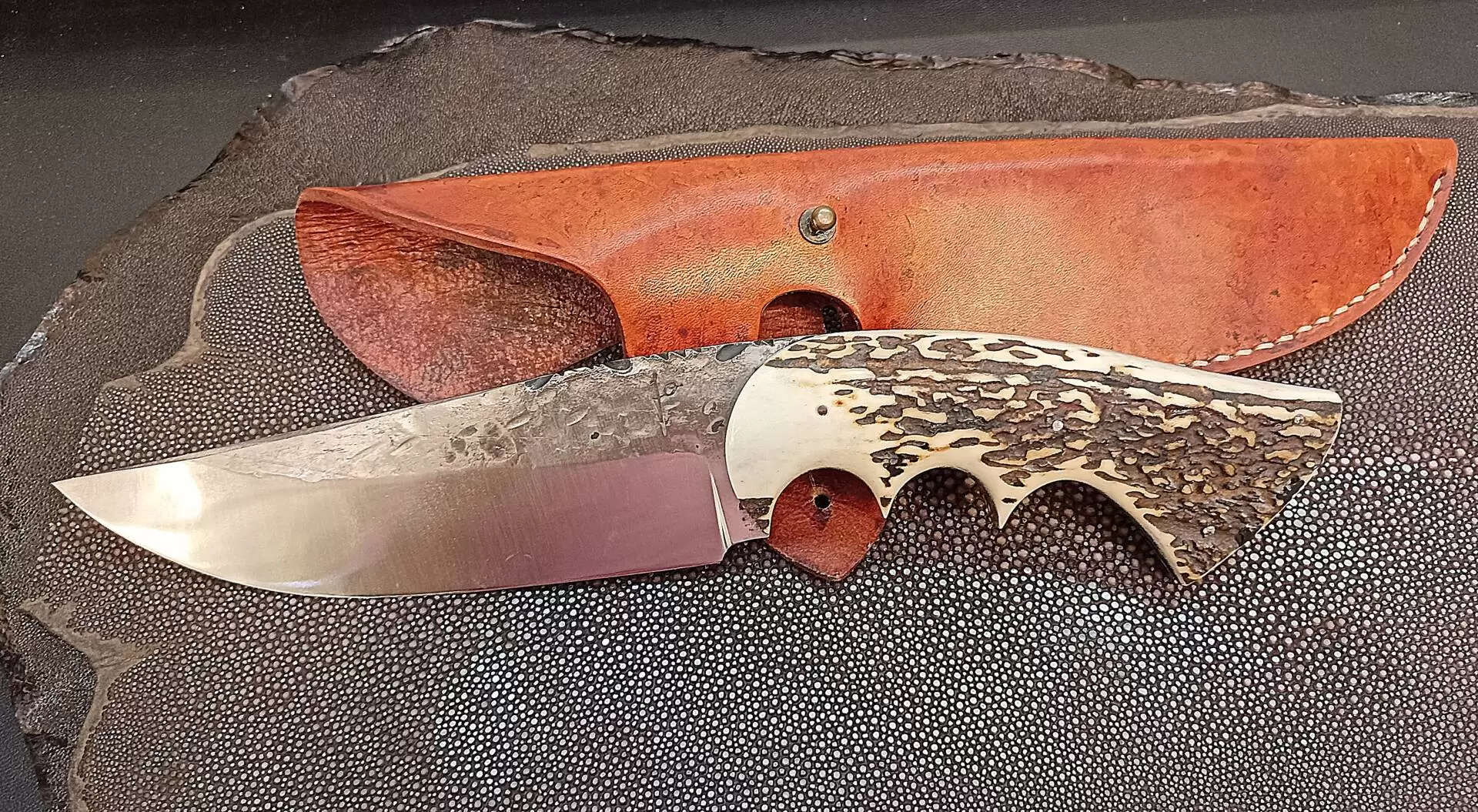 Le Tranchant Soldes Magasin -Le Tranchant Soldes Magasin jvchasse100823 4